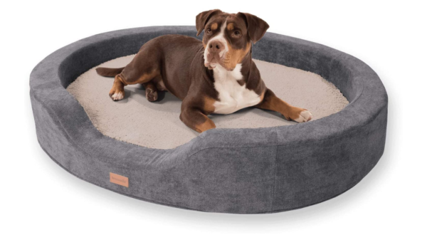 Cama Sofá de Lujo para Perros